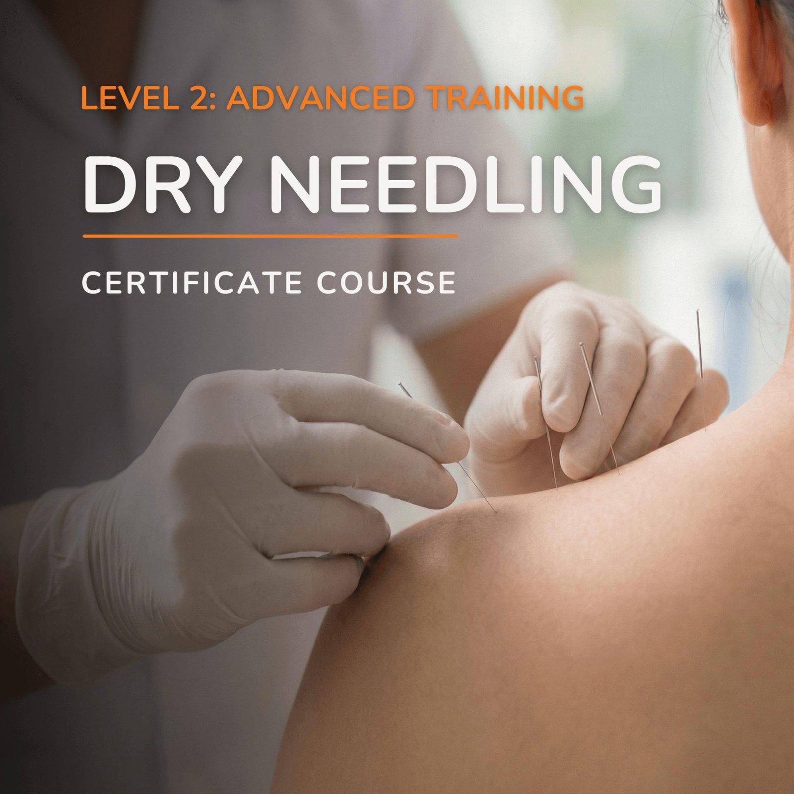 LEVEL 2 DRY NEEDLING COURSE